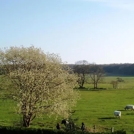 Modern Ausgestattete In Ruhiger Lage *